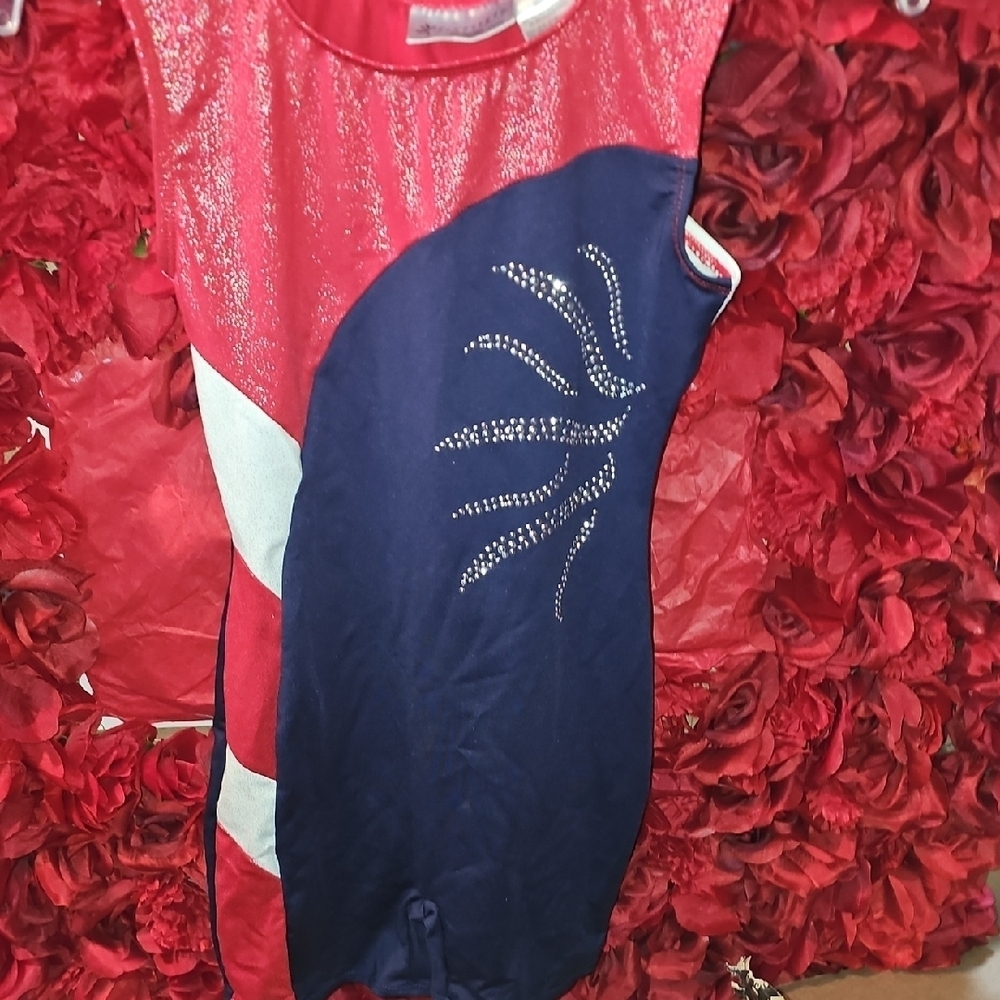 Freestyle Danskin Red and Blue Gymnastics Biketard with Rhinestones Size 10/12